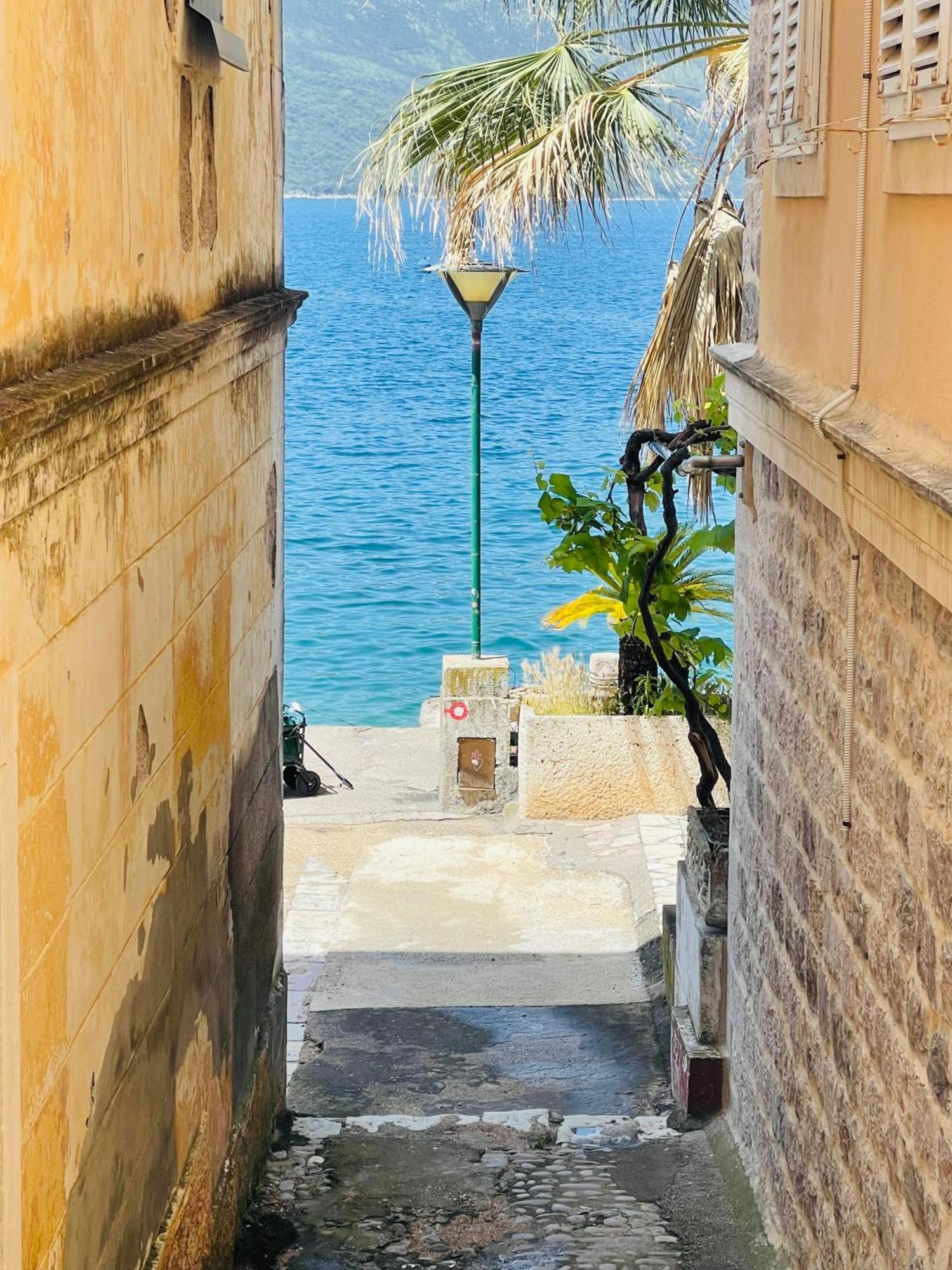Hearth Of Rose Apartment Herceg Novi Exterior foto